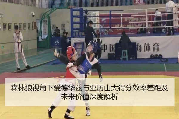 森林狼视角下爱德华兹与亚历山大得分效率差距及未来价值深度解析